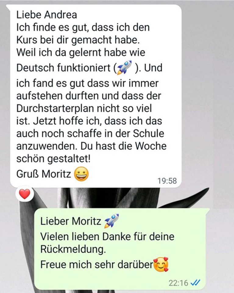 WhatsApp-Feedback nach erfolgreichem LRS-Training